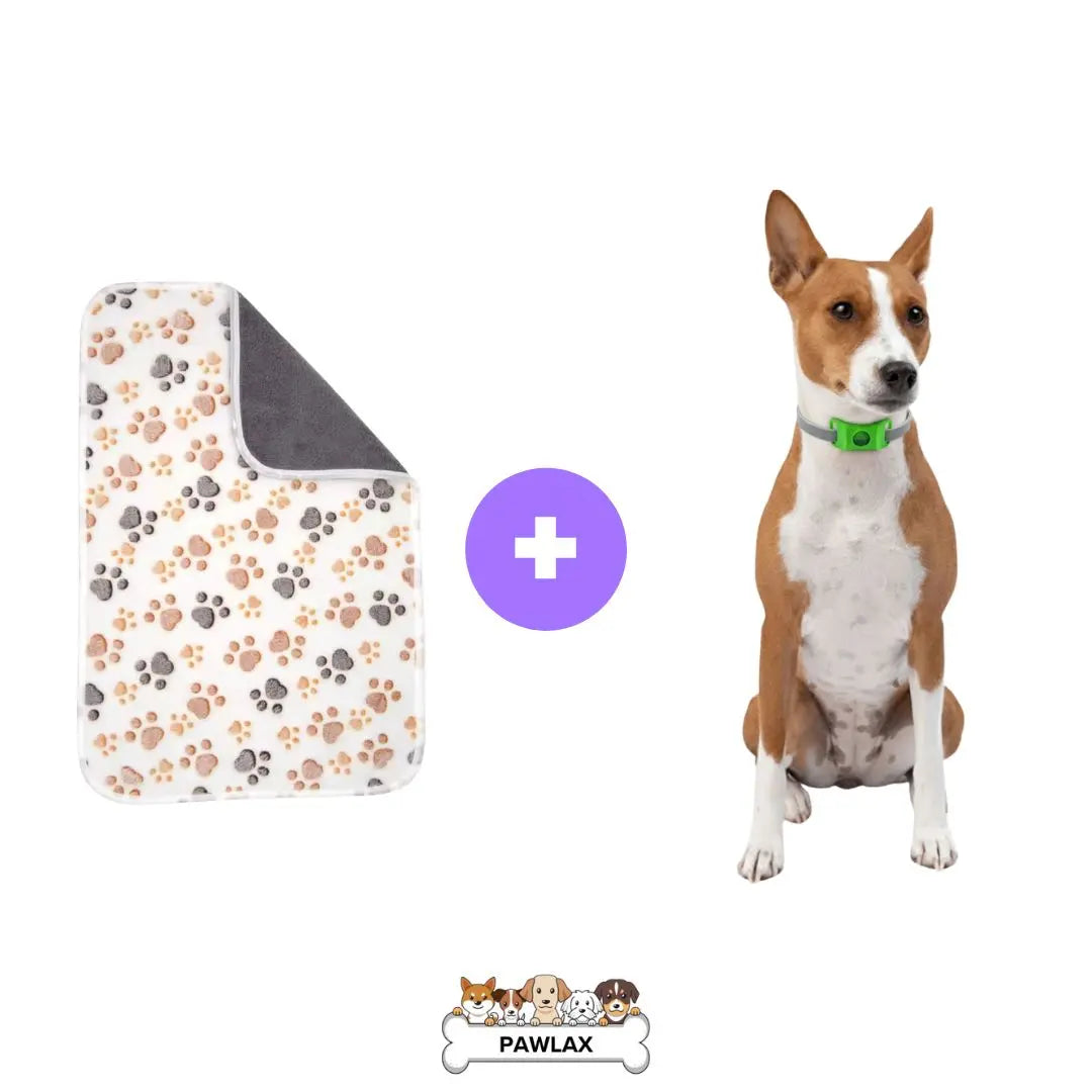 PawLax Upgrade Package