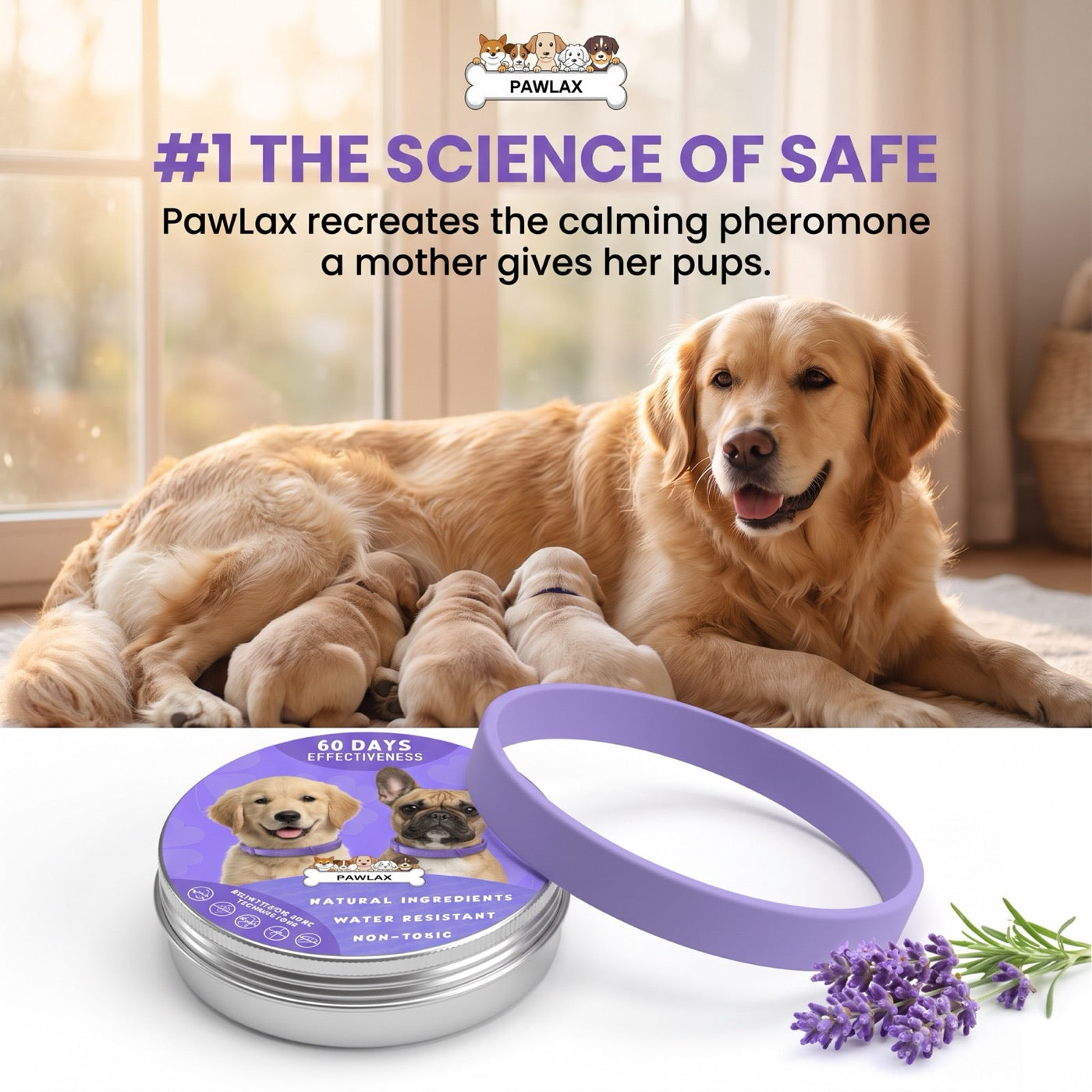 Mother dog nursing her puppies beside the PawLax collar and tin: PawLax recreates the calming pheromone a mother gives her pups