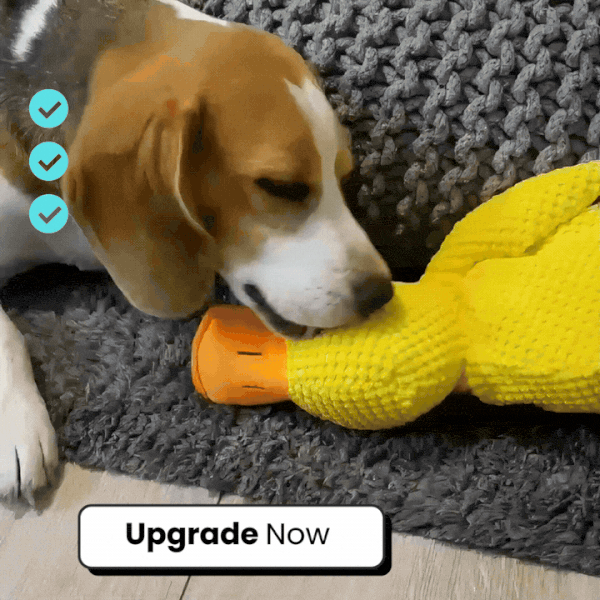PawLax Calming Duck