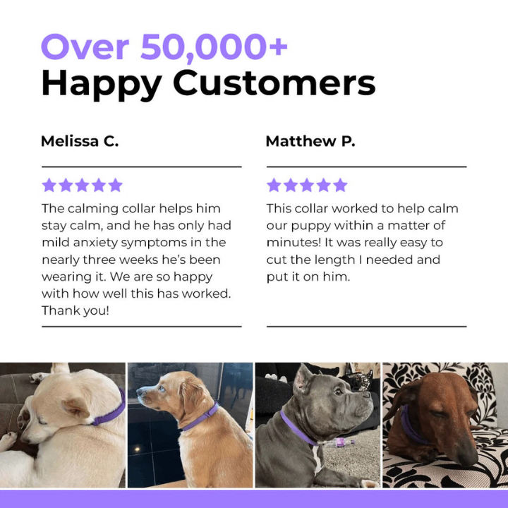 PawLax Collar [FREE TODAY]