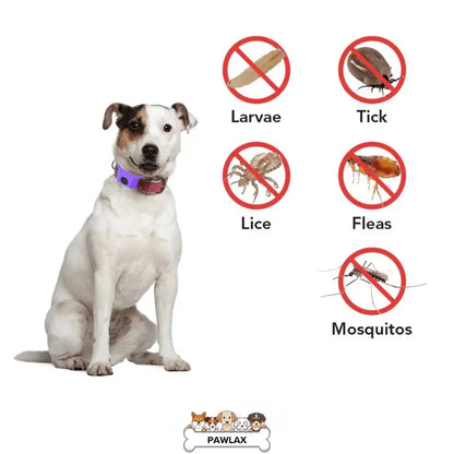 PawLax Collar Flea & Tick Tag Add-on