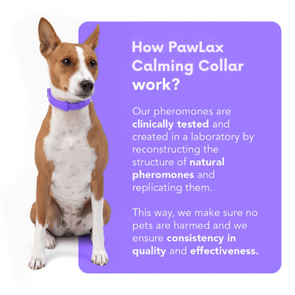 PawLax Collar [FREE TODAY]