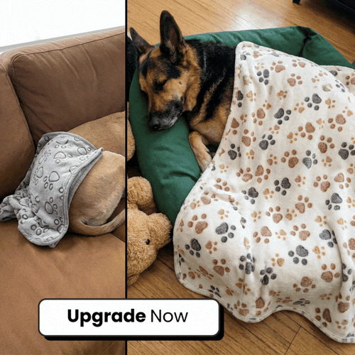 Upgrade To The Premium Version (Double the Size, Double The Plush)