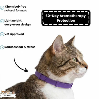 PawLax Collar Cat Version [FREE TODAY]