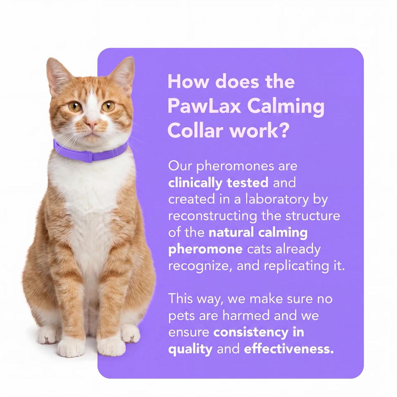 PawLax Collar Cat Version [FREE TODAY]