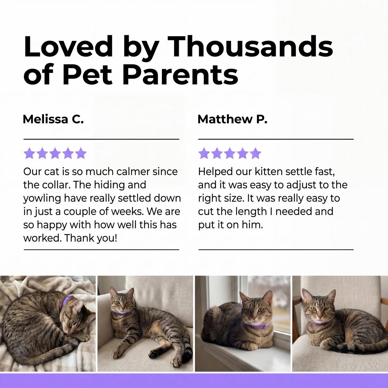PawLax Collar Cat Version [FREE TODAY]