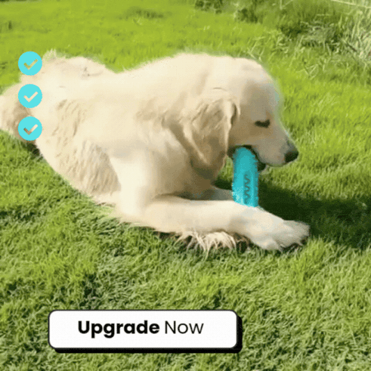 PawLax Toothbrush Chew Toy