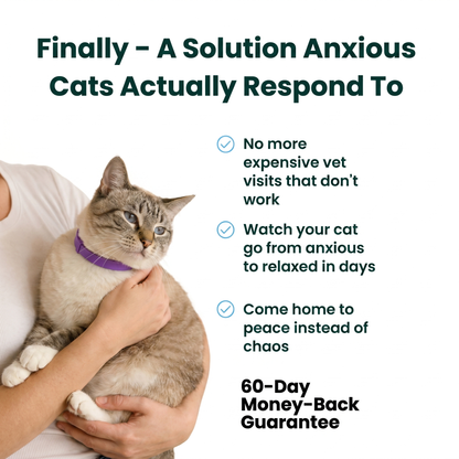 PawLax Collar Cat Version [FREE TODAY]