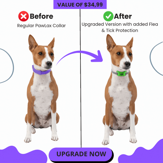 PawLax Collar Flea & Tick Tag Add-on
