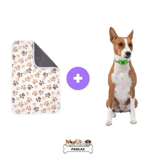 PawLax Upgrade Package