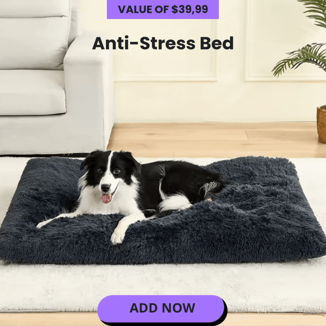 PawLax Anti-Stress Bed