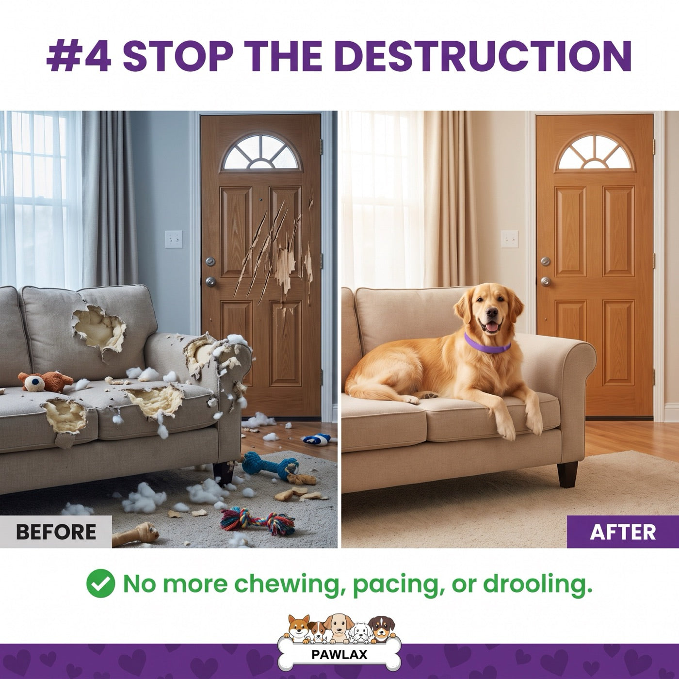 Before and after: a shredded couch and clawed door versus an intact room with a calm dog resting in the PawLax collar